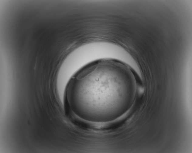 X0000086030264200703301100