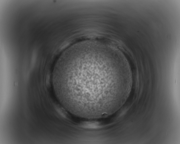 X0000086030266200703301100