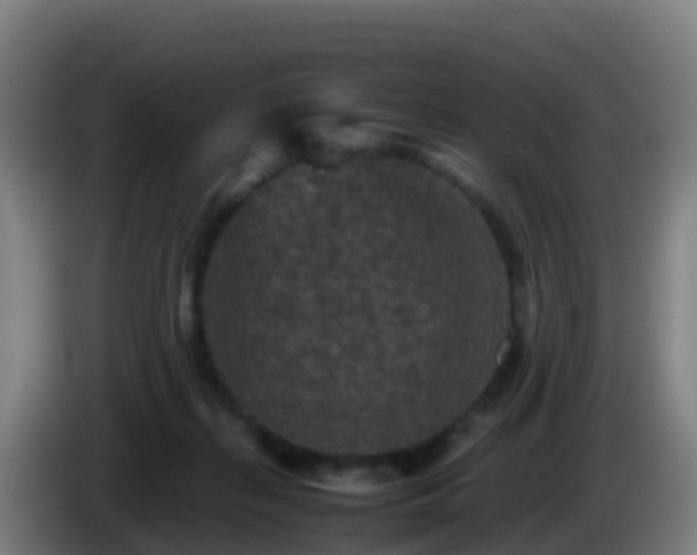 X0000086030267200703301100