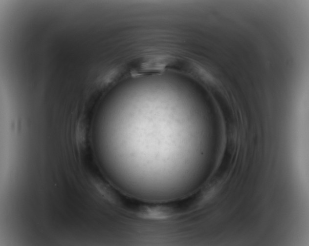 X0000086030268200703301100