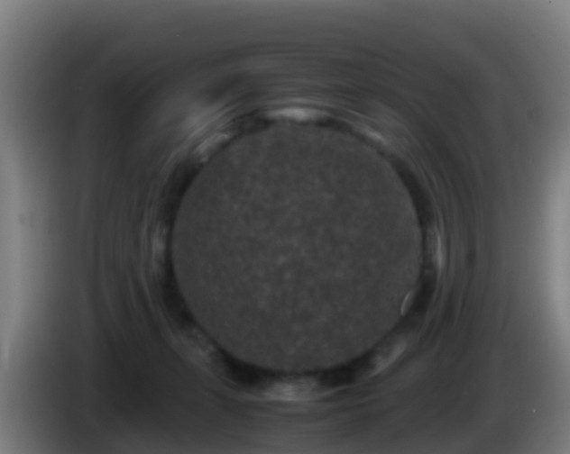 X0000086030271200703301101