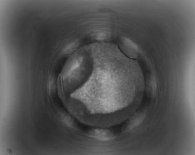 X0000086030272200703301101