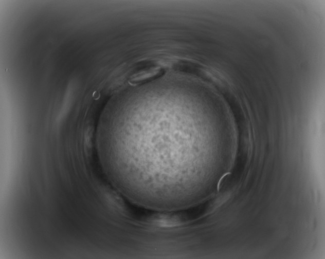 X0000086030275200703301101