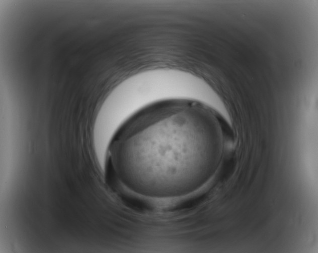 X0000086030276200703301101