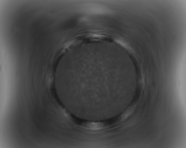 X0000086030277200703301101