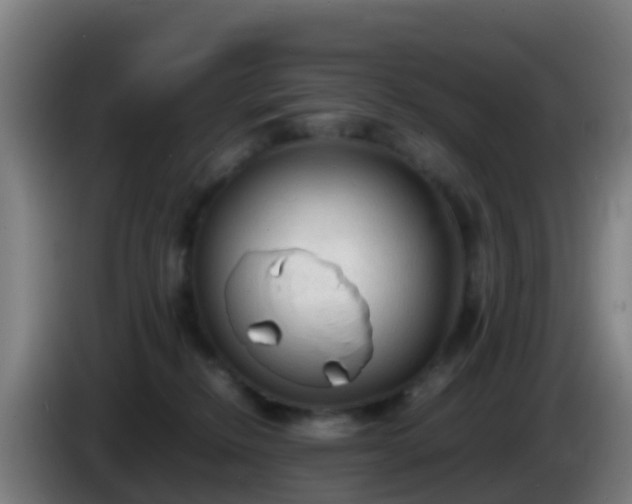 X0000086030278200703301101