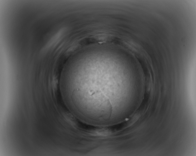 X0000086030279200703301101