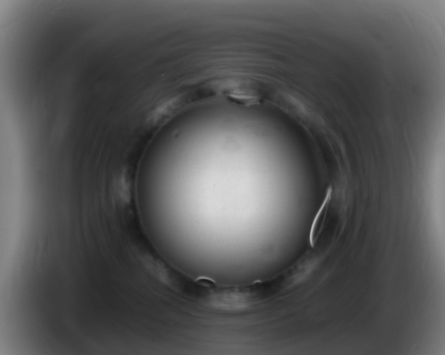 X0000086030282200703301101