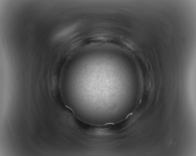 X0000086030283200703301101