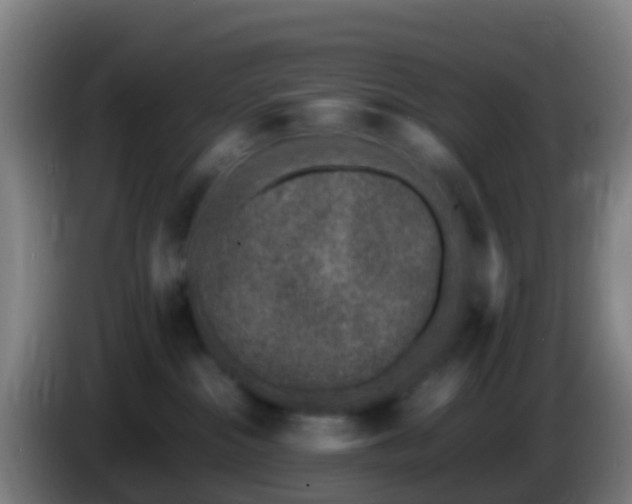 X0000086030284200703301101