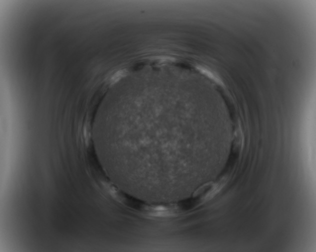 X0000086030285200703301101