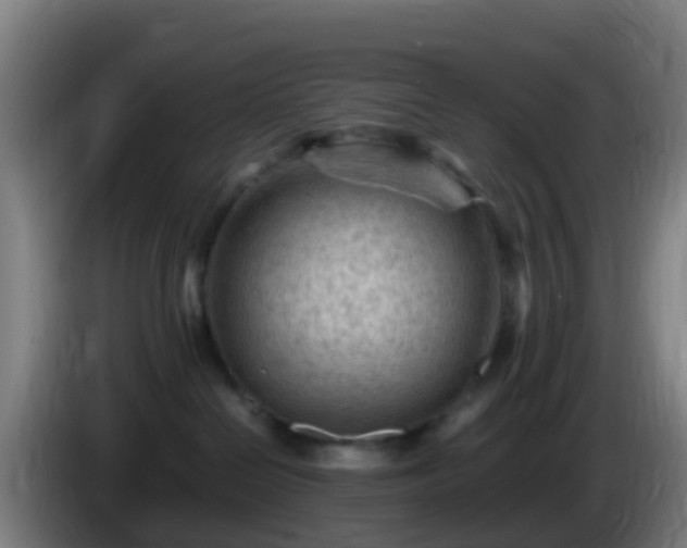 X0000086030286200703301101