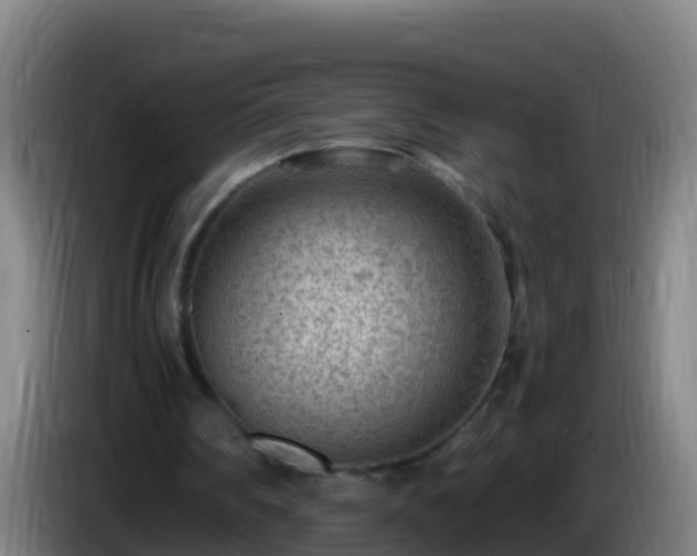 X0000086030290200703301100