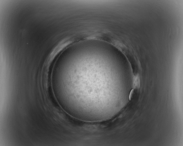 X0000086030291200703301100