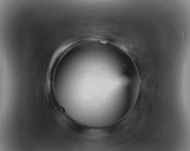 X0000086030294200703301100