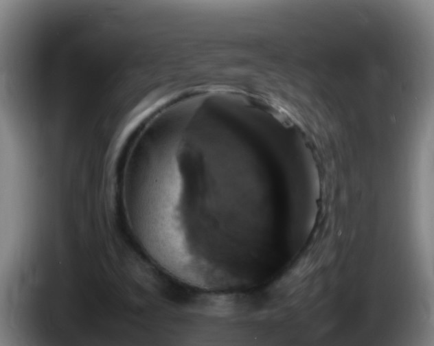 X0000086030295200703301100