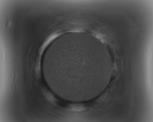 X0000086030296200703301100