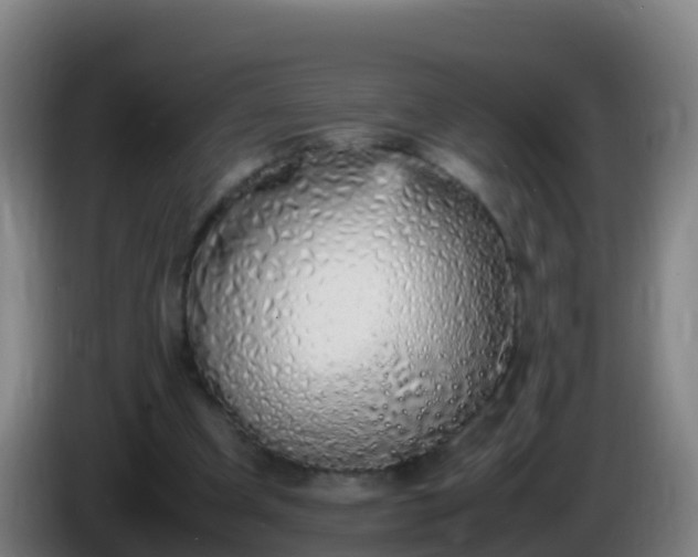 X0000086030297200703301100