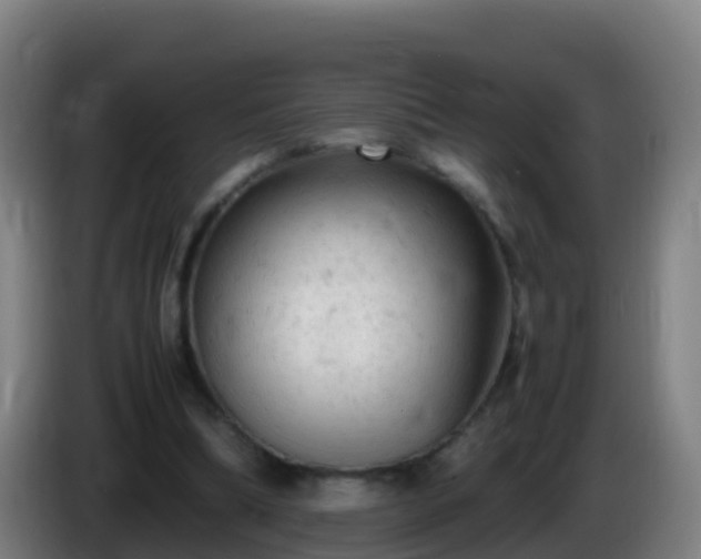 X0000086030298200703301100