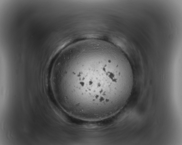 X0000086030299200703301100