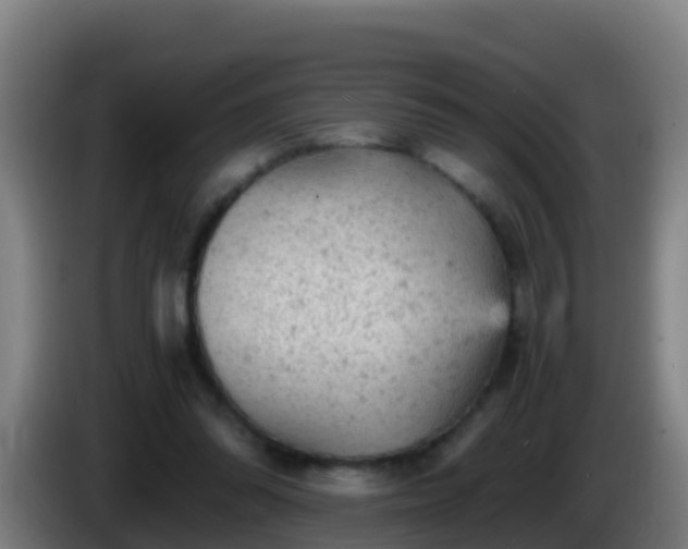 X0000086030302200703301100