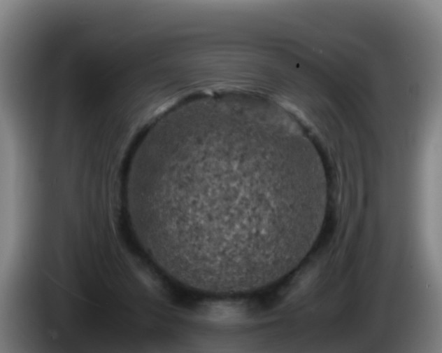 X0000086030303200703301100