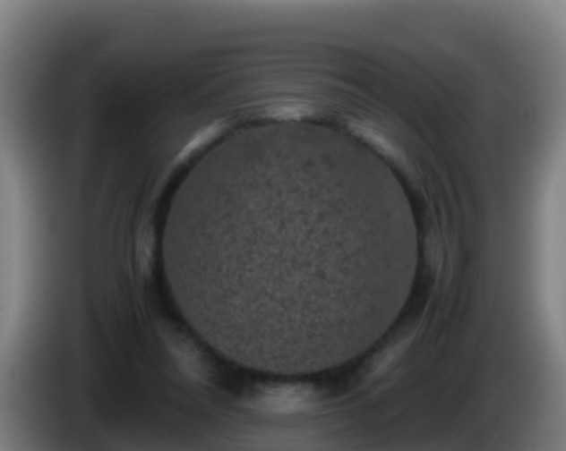 X0000086030304200703301100