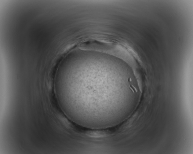 X0000086030305200703301100