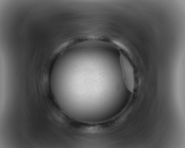 X0000086030306200703301100