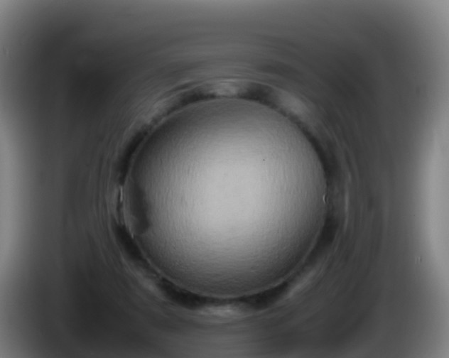 X0000086030307200703301100