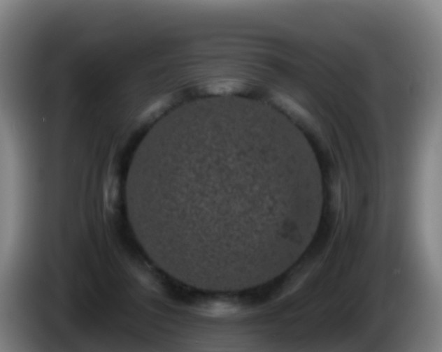 X0000086030308200703301100