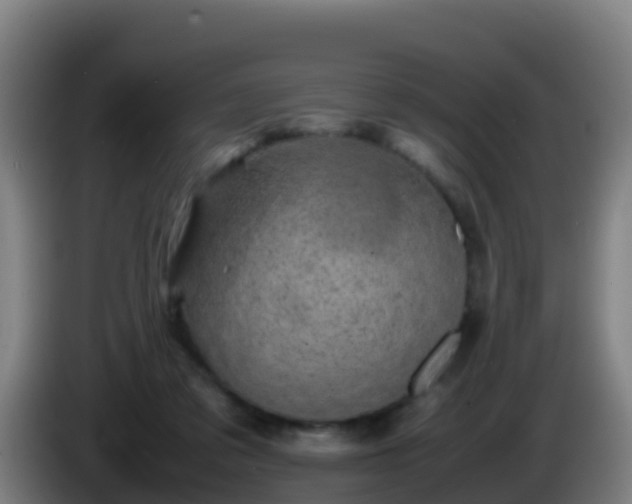 X0000086030309200703301100