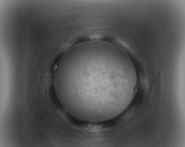 X0000086030311200703301100