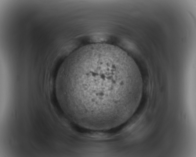 X0000086030315200703301100