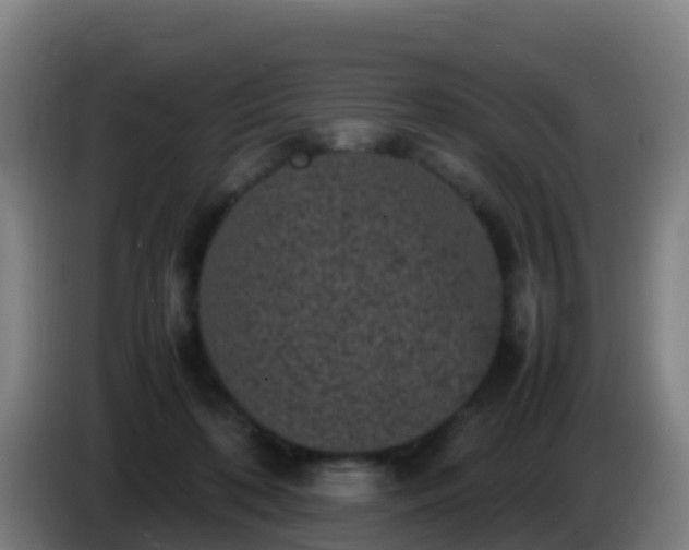 X0000086030316200703301100