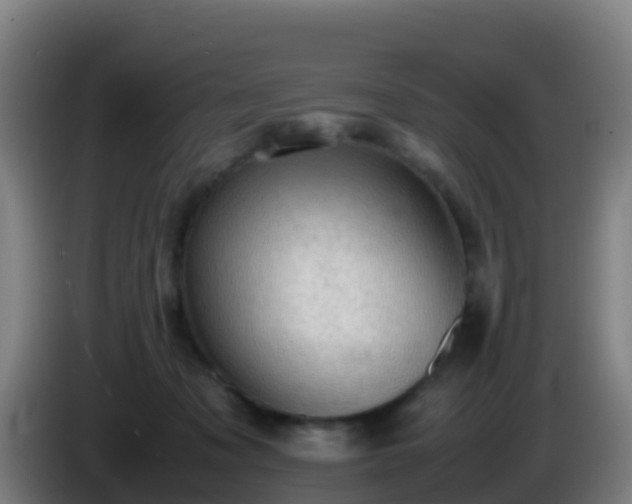 X0000086030317200703301100