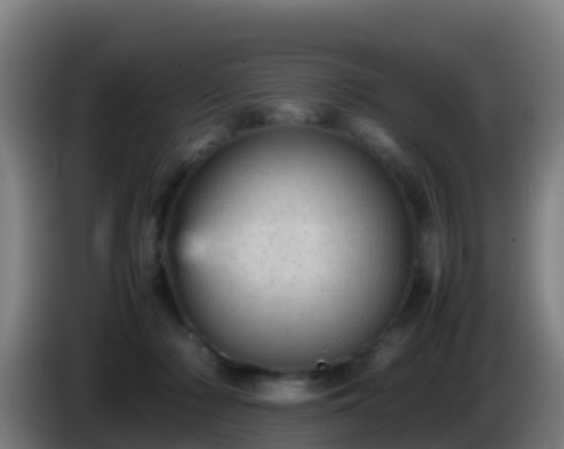 X0000086030318200703301100