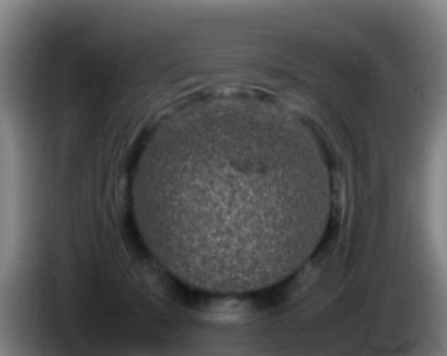 X0000086030319200703301100