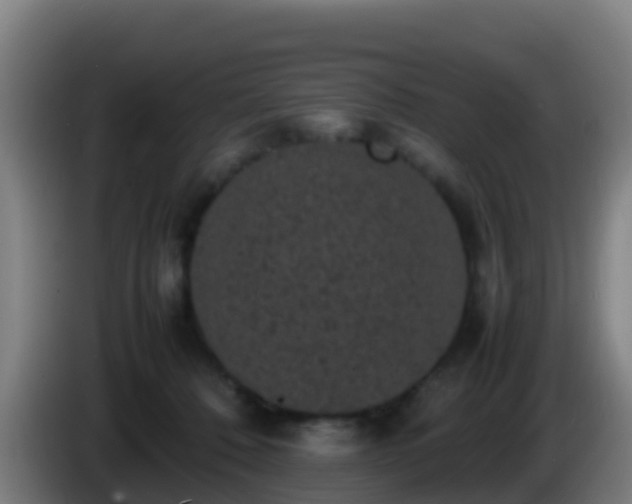 X0000086030320200703301100