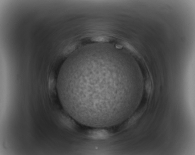 X0000086030322200703301100