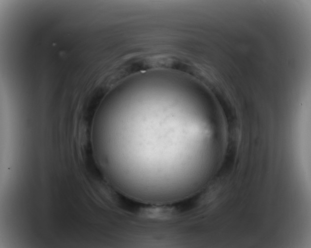 X0000086030323200703301100