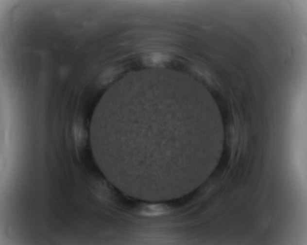 X0000086030324200703301100