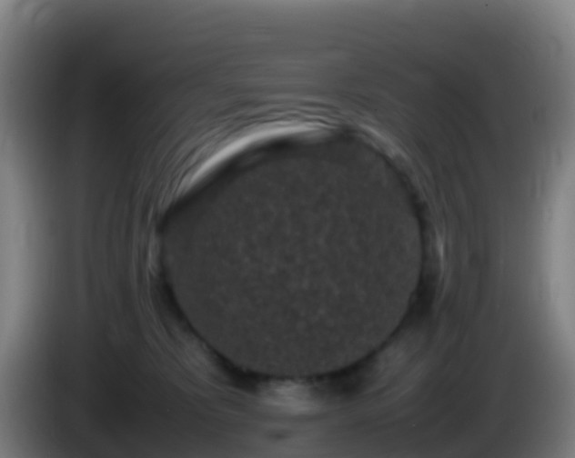 X0000086030325200703301100