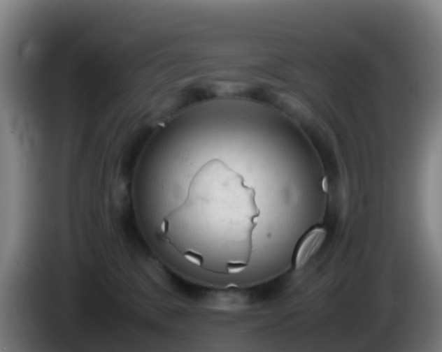 X0000086030327200703301100