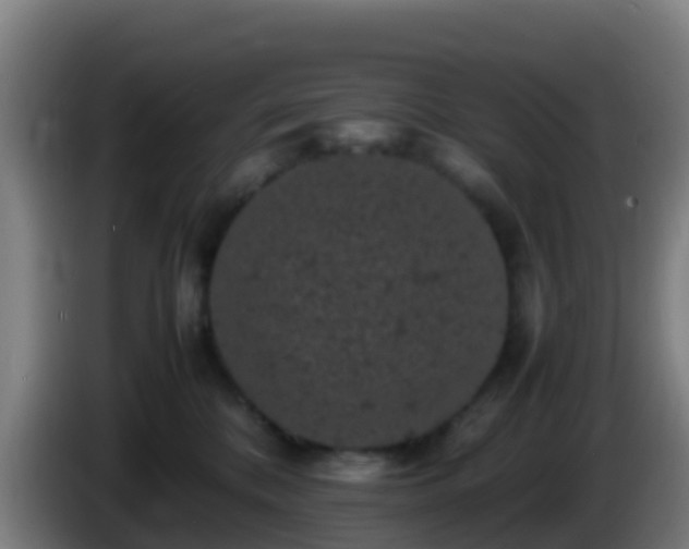 X0000086030328200703301100