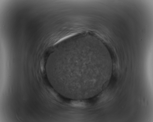 X0000086030331200703301059