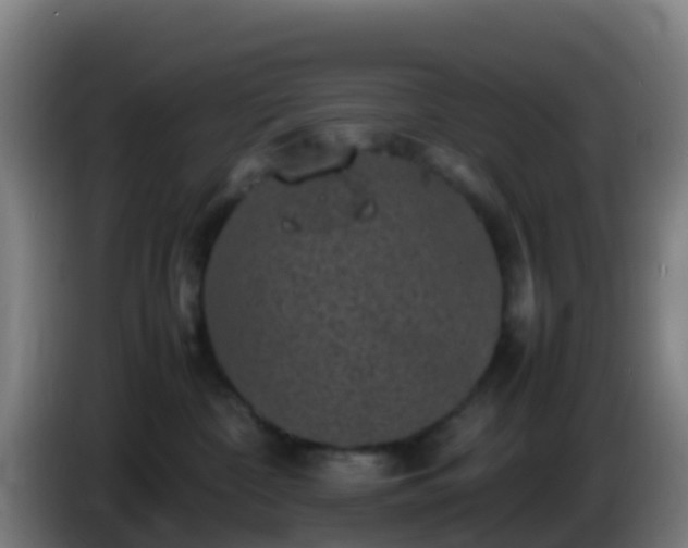 X0000086030332200703301059