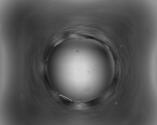 X0000086030333200703301059