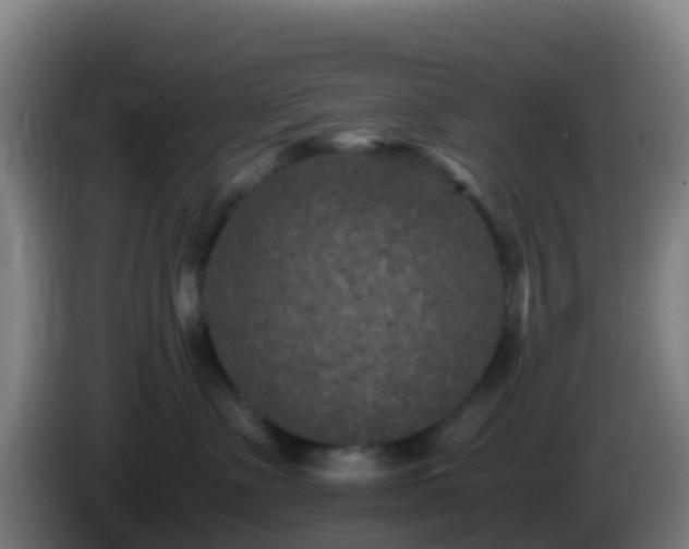 X0000086030335200703301059