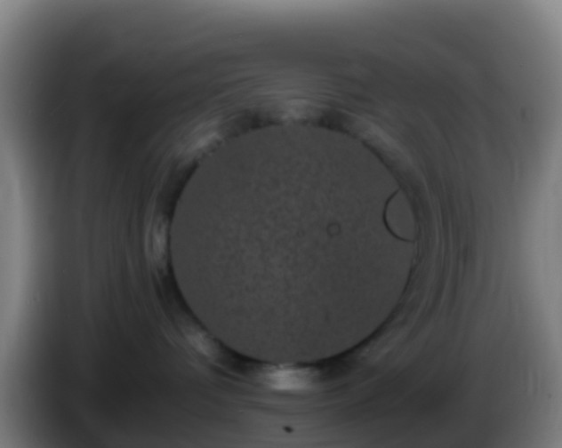 X0000086030336200703301059